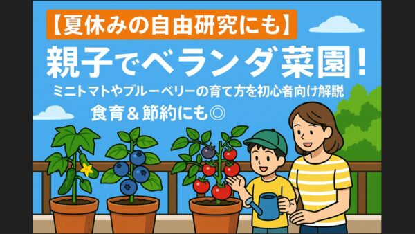 【夏休みの自由研究にも】親子でベランダ菜園！ミニトマトやブルーベリーの育て方を初心者向けに解説｜食育＆節約にも◎